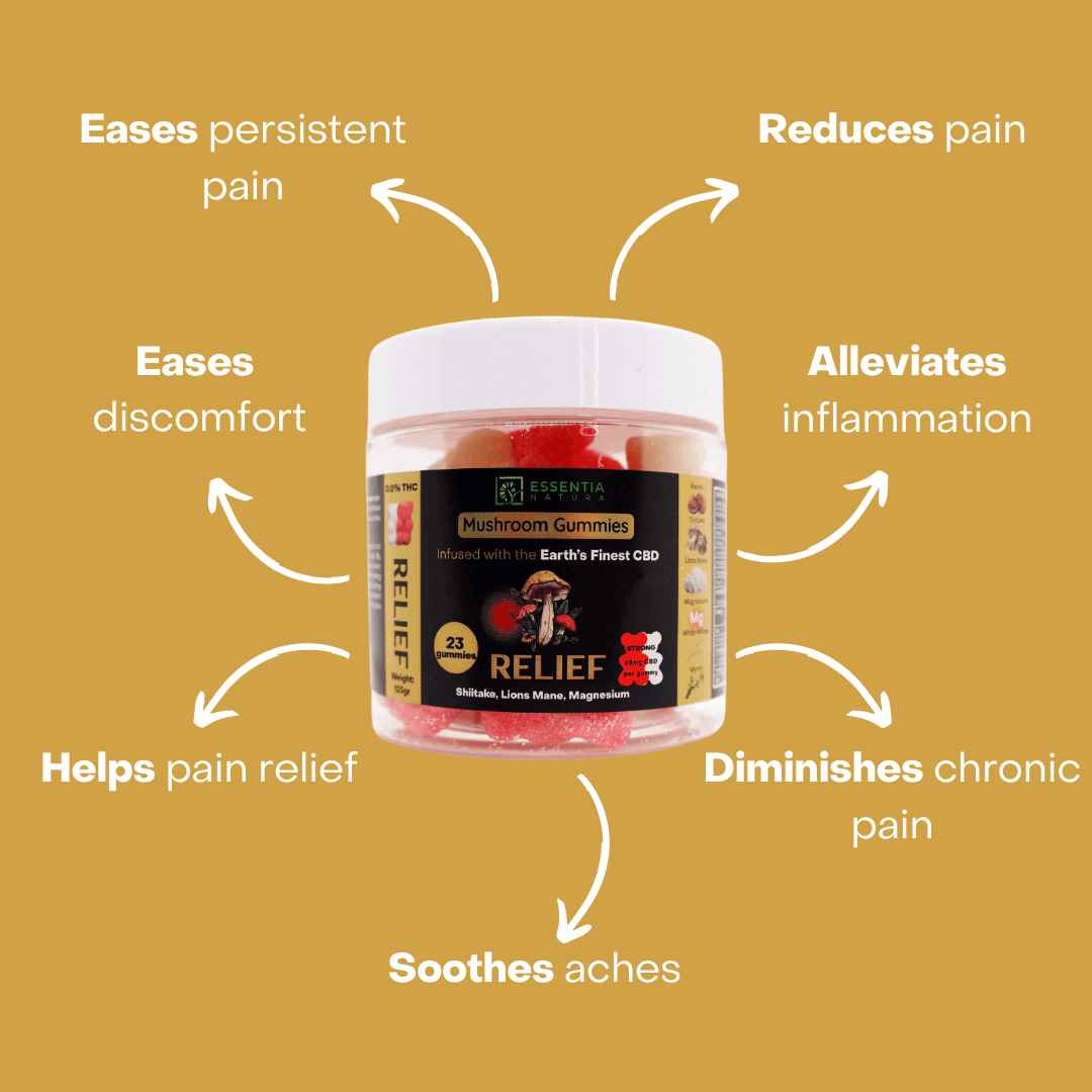 CBD edibles UK Reishi mushroom gummies UK Lion's Mane gummies UK CBD wellness products UK Adaptogenic gummies UK Vegan CBD gummies UK UK CBD gummies for anxiety Mushroom extract gummies UK Natural CBD gummies UK CBD and mushroom blend gummies UK