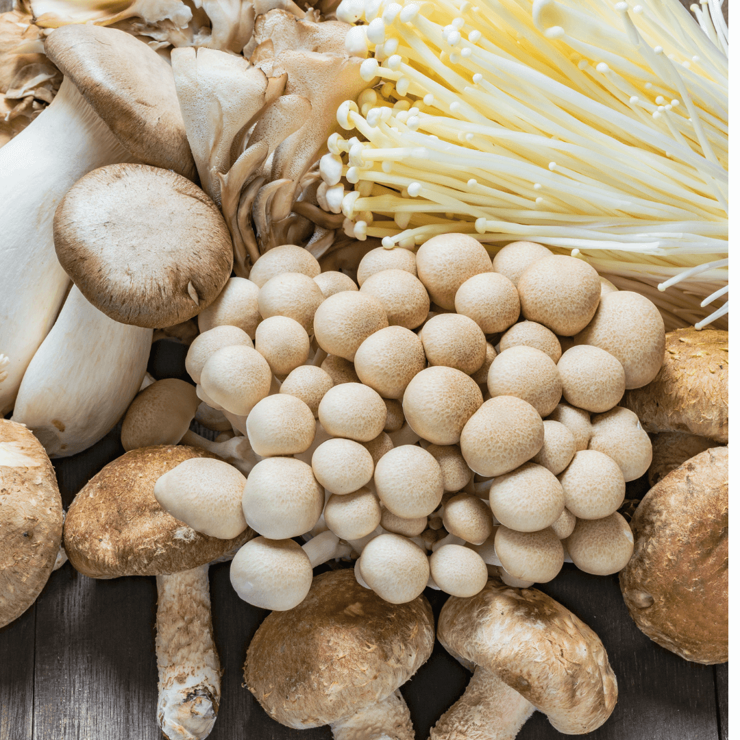 what is CBD? information about CBD? Essentia CBD. Best CBD in the UK. where to find information about CBD. where to buy CBD