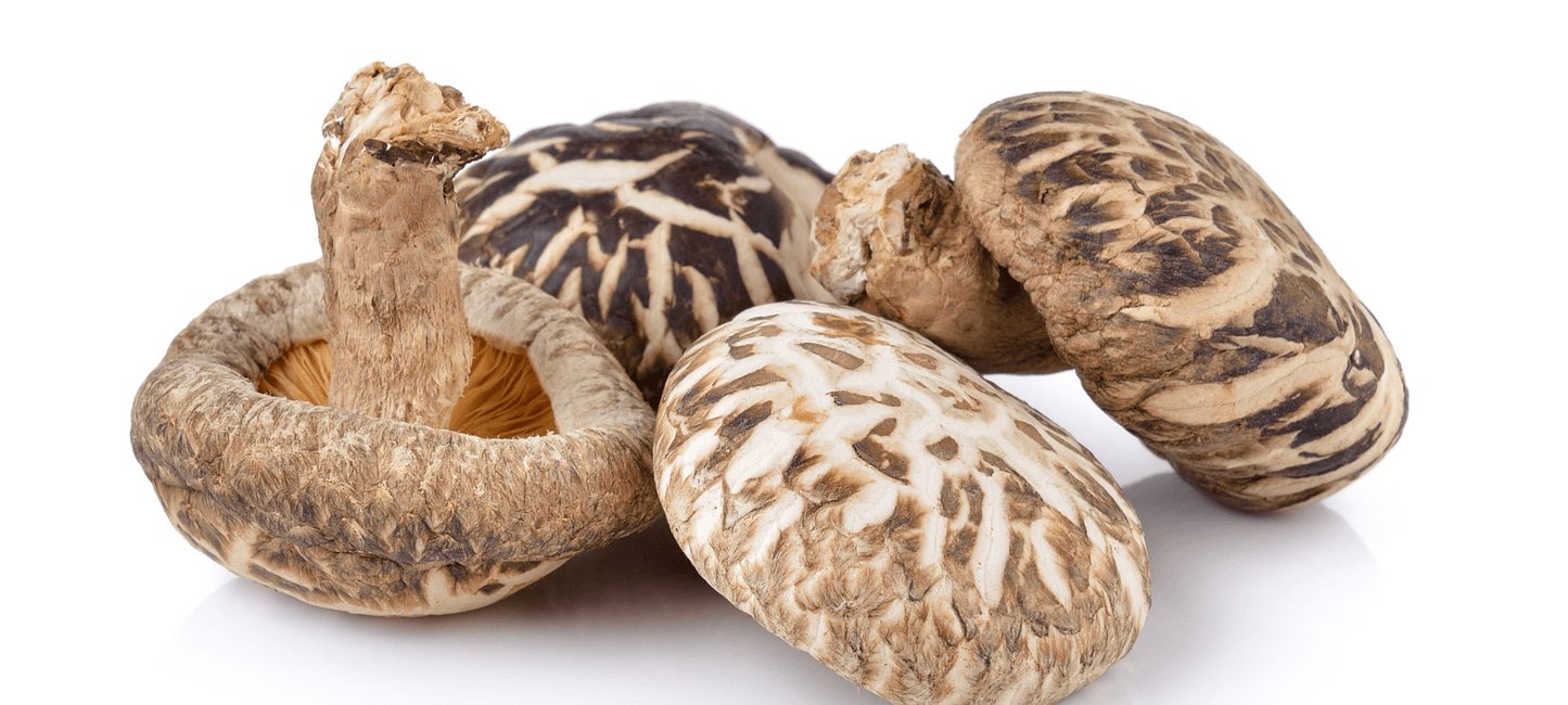 The Complete Guide to Mushroom Gummies: Which One Is Right for You?