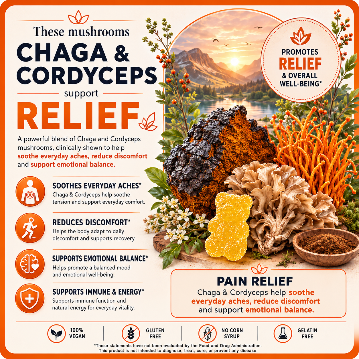 
                  
                    Mushroom Gummies for Rest, Calm & Pain Relief | Essentia Natura | 80 Gummies | Vegan
                  
                