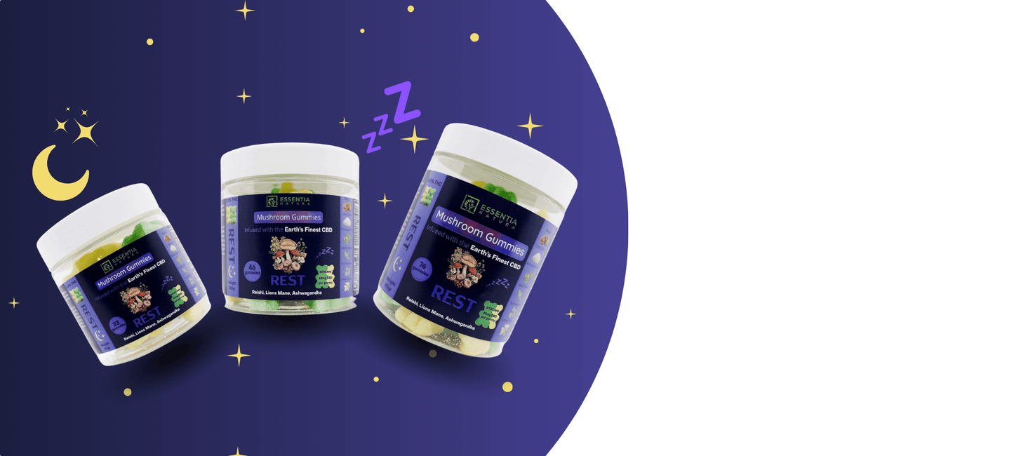 cbd in colchester, cbd in chelsmford, cbd in essex. best mushrooms, reishi mushroom, cordyceps mushroom, turkey tail mushroom, ashwagandha, best shop to sell mushroom in essex. best shop to sell mushroom in the UK, dirtea, mushrooms to calm, mushroom to s